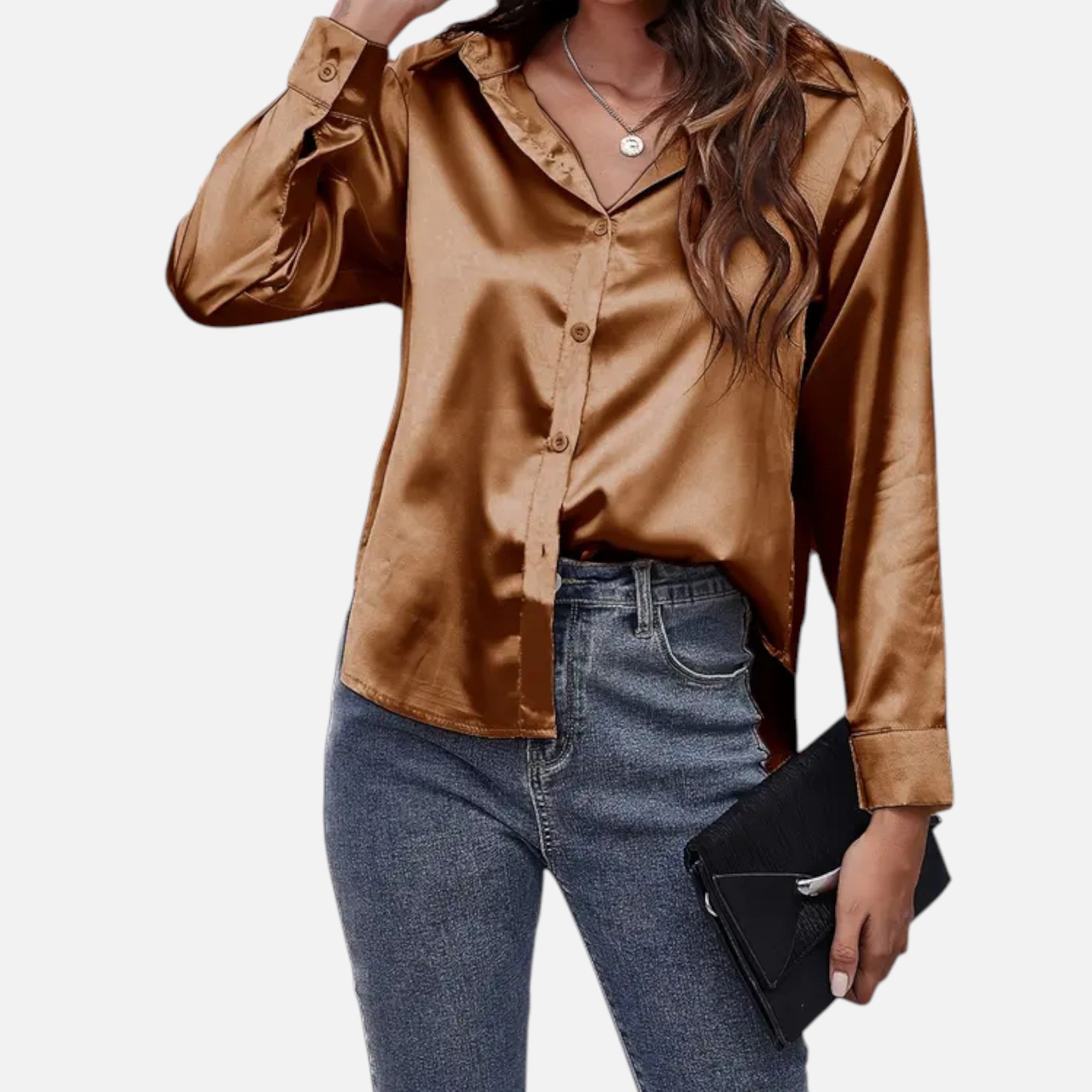 Zeyliah | Women’s Satin Finish Blouse with Long Sleeves